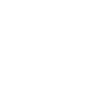trophy-white-icon